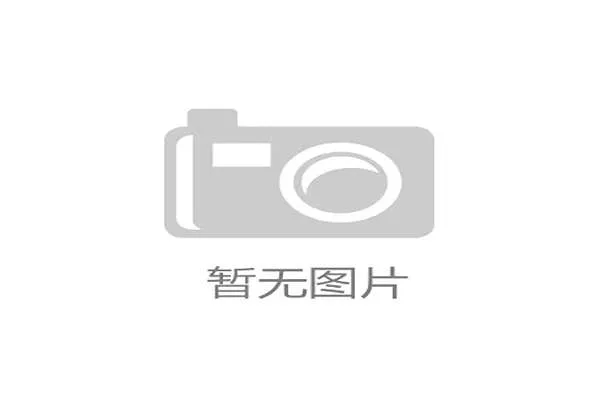 德甲主帅风采:解析当前教练战术理念与球队管理策略 德甲主帅风采:解析当前教练战术理念与球队管理策略